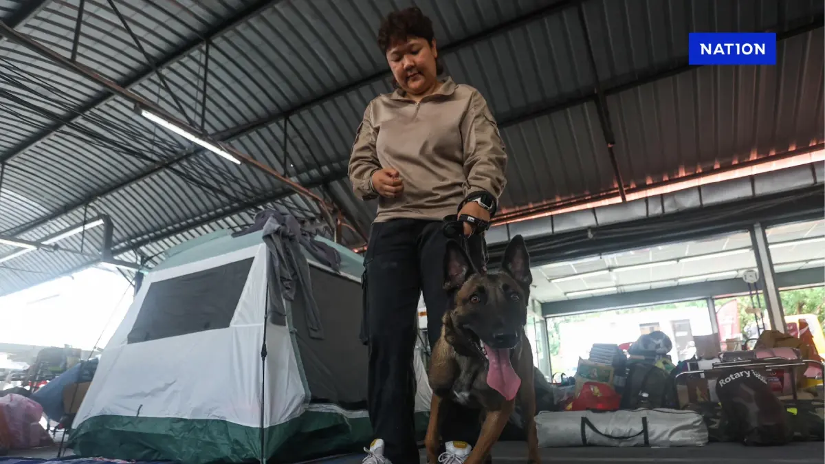 ทำความรู้จัก "K9 นารี" สุนัขทาสแมว ติดสกินชิพ ชอบเรียนรู้ ทำความรู้จัก "K9 นารี" สุนัขทาสแมว ติดสกินชิพ ชอบเรียนรู้