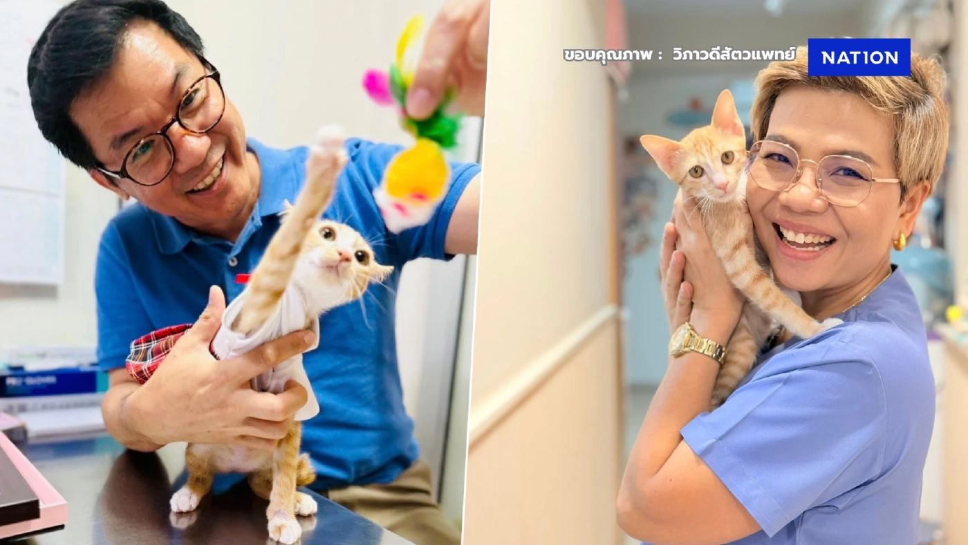 "น้องสตง" แมวส้มที่ "สุนัข K9 นารี" พบติดใต้ซากตึก สตง. ล่าสุดได้บ้านแล้ว