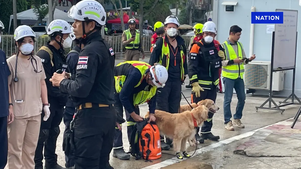 มีความหวัง! “น้องซาฮารา” สุนัข K9 เห่าส่งสัญญาณผู้รอดชีวิต มีความหวัง! “น้องซาฮารา” สุนัข K9 เห่าส่งสัญญาณผู้รอดชีวิต