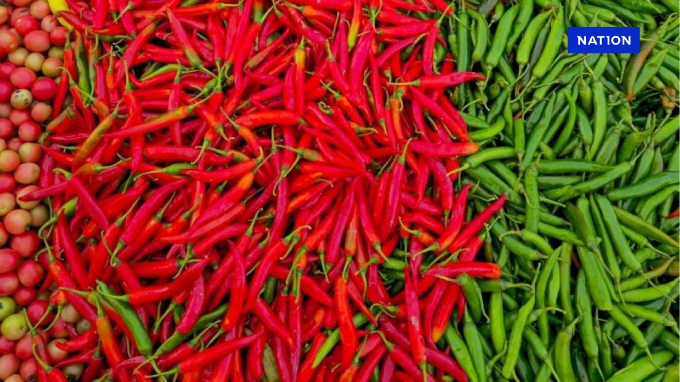 พระครูอ๊อด เหมาซื้อพริกชาวสวน “อมก๋อย” หลังราคาตกต่ำสุดรอบ 10 ปี พระครูอ๊อด เหมาซื้อพริกชาวสวน “อมก๋อย” หลังราคาตกต่ำสุดรอบ 10 ปี