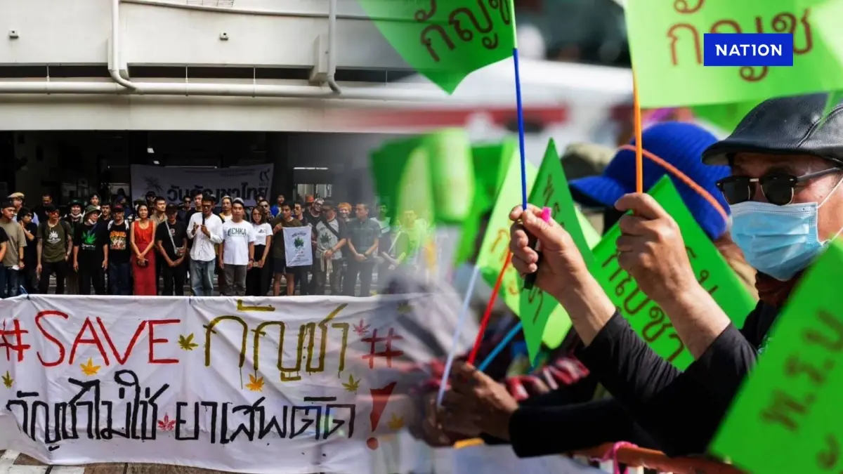 "เครือข่ายกัญชา" ฟาด "สมศักดิ์" ใช้กัญชาเป็นเครื่องมือการเมือง หวัง "ให้นายทุนผูกขาดหมื่นล้าน"