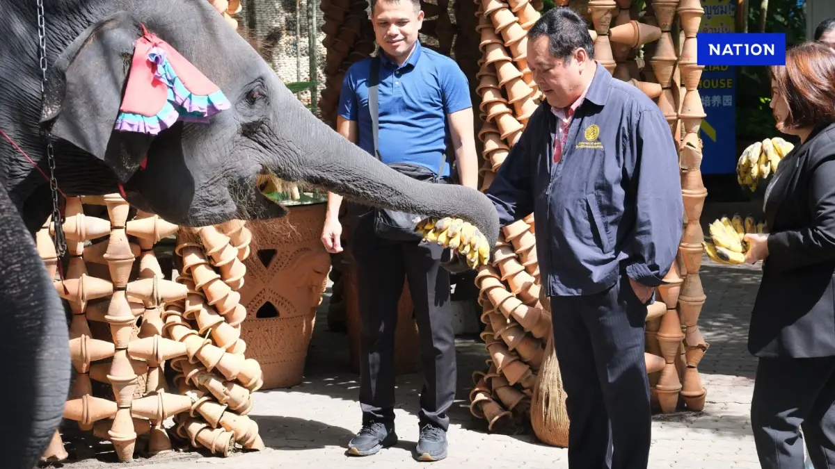 “ทวี” อารมณ์ดี แจกกล้วยช้าง 24 หวี เลขนี้เติมเสียงให้ รบ. หรือเปล่า