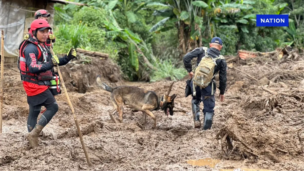 ส่ง สุนัข K9 USAR ลุยค้นหาผู้สูญหายจากน้ำป่าไหลหลาก-ดินถล่ม