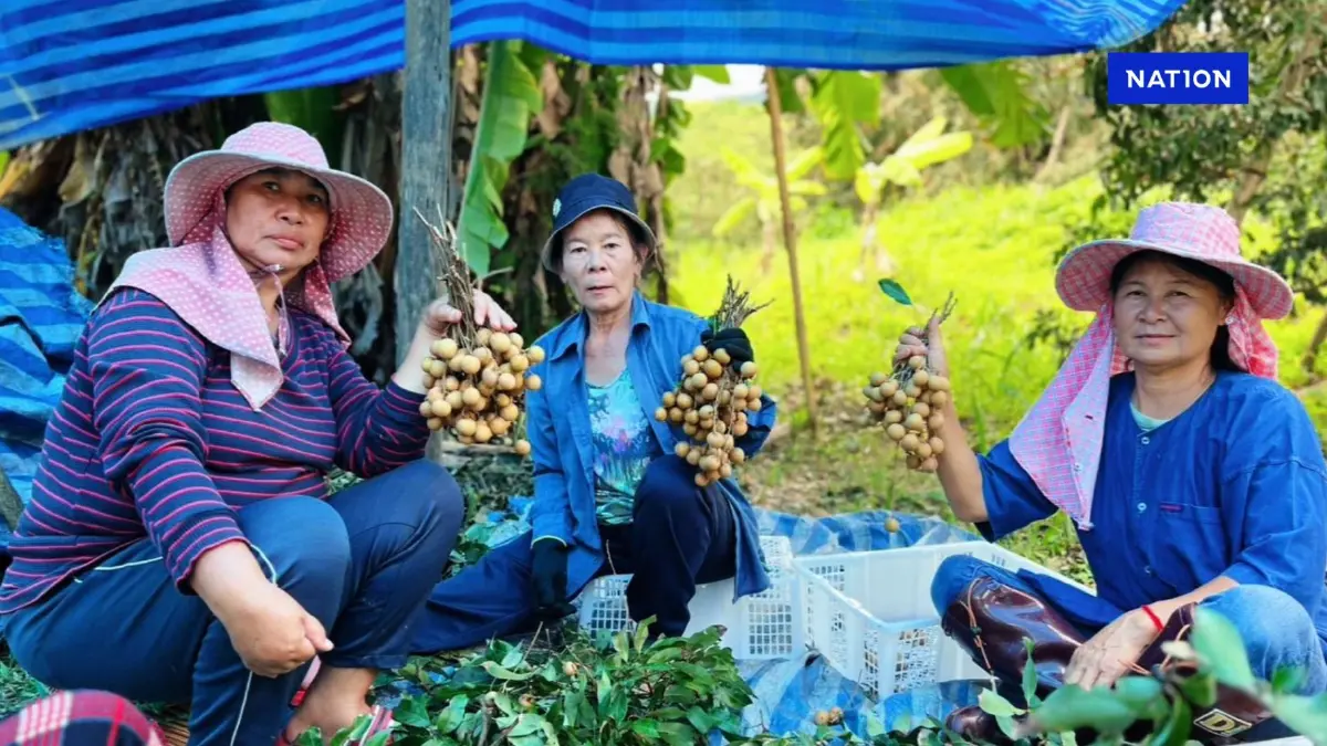 เกษตรกรเชียงใหม่ ขอบคุณ “ธนาคารที่ดิน” ช่วยเหลือให้มีที่ดินมีคุณภาพชีวิตดีขึ้น