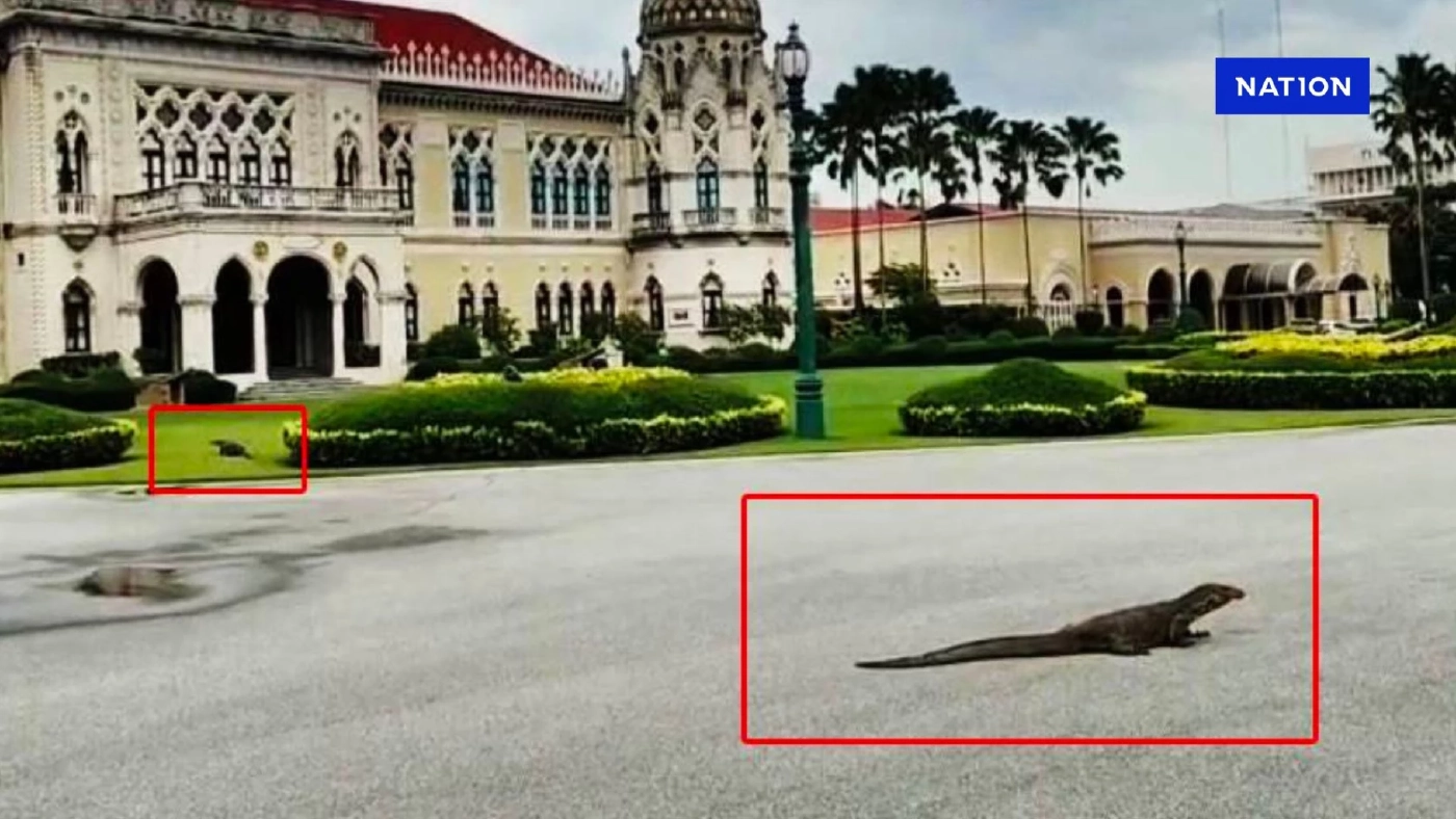 ตัวอย่างเบิ้ม! "2 ตัวเงินตัวทอง" โผล่ทำเนียบรัฐบาล วันไร้ "นายกฯ" คาดขึ้นมาหาที่วางไข่