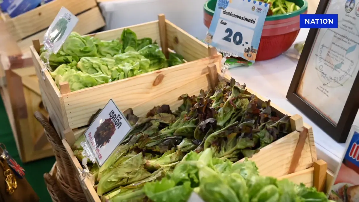 กรมการค้าภายในปั้น Farm Outlet หนุนเกษตรกรไทยสร้างรายได้เพิ่ม