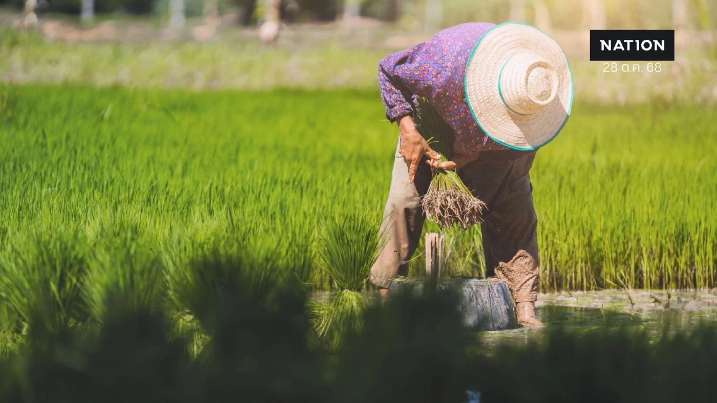 พาณิชย์ ลุยมาตรการพยุงราคาข้าว ชง นบข. เพิ่มมาตรการช่วยชาวนา