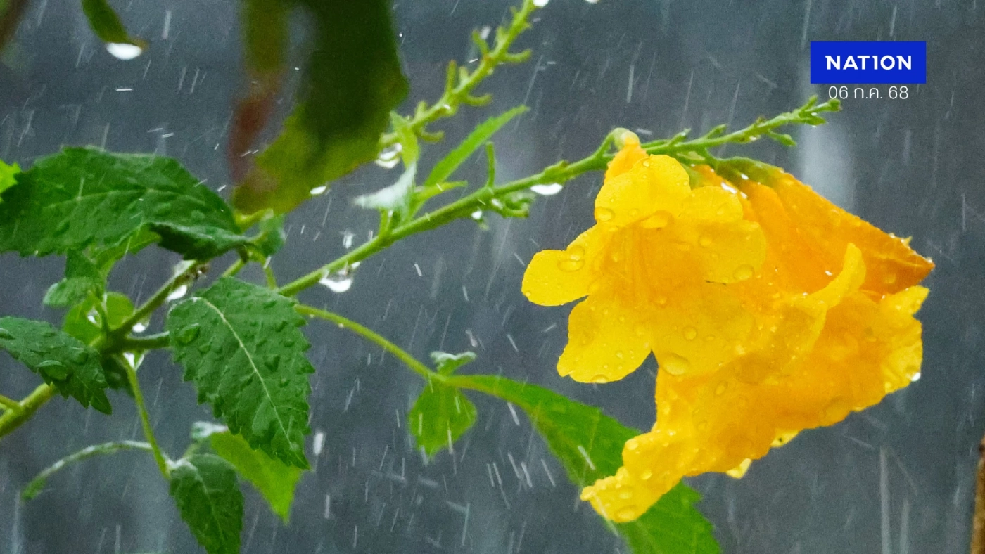 กรมอุตุฯ ประกาศฉบับที่ 13 พายุ "แมตโม" อ่อนกำลัง ไม่เข้าไทย ! กรมอุตุฯ ประกาศฉบับที่ 13 พายุ "แมตโม" อ่อนกำลัง ไม่เข้าไทย !