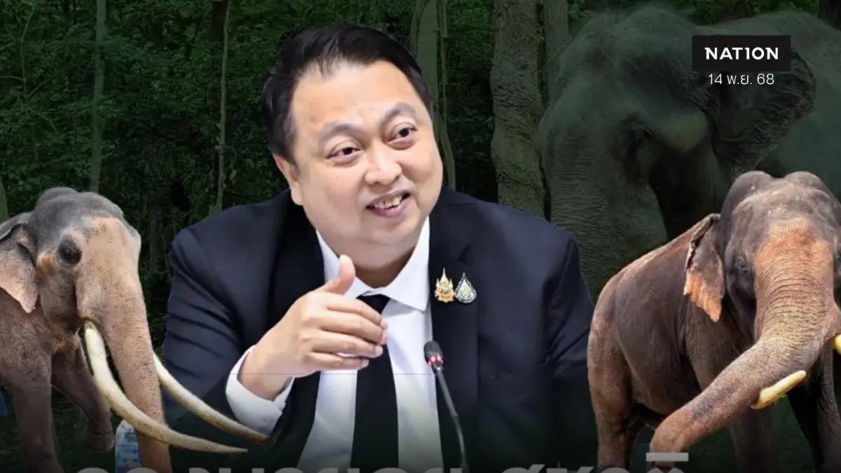 “สุชาติ” เตรียมหารือทูตศรีลังกา 19 พ.ย.นี้ พา 2 พลายกลับประเทศไทย “สุชาติ” เตรียมหารือทูตศรีลังกา 19 พ.ย.นี้ พา 2 พลายกลับประเทศไทย