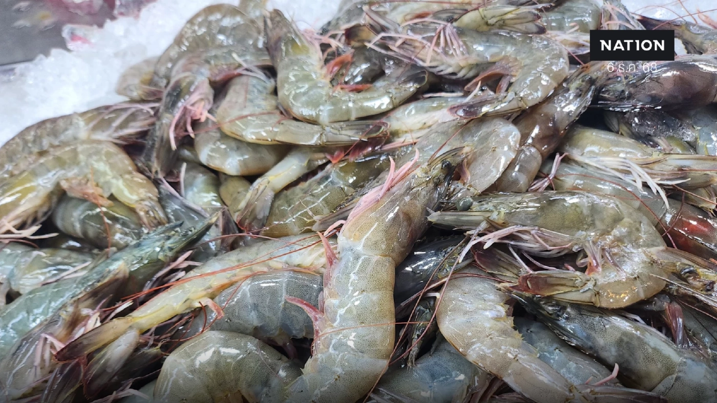 ส่งออก 'กุ้งไทย' ฟื้นปี 69 รับอานิสงส์ภาษีทรัมป์ทุบคู่แข่ง