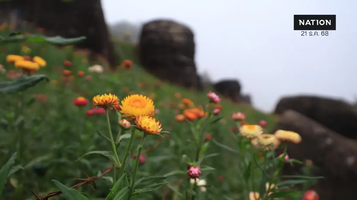 พยากรณ์อากาศ ภาคเหนืออากาศเย็นถึงหนาว อุณหภูมิต่ำสุด 14 องศาฯ