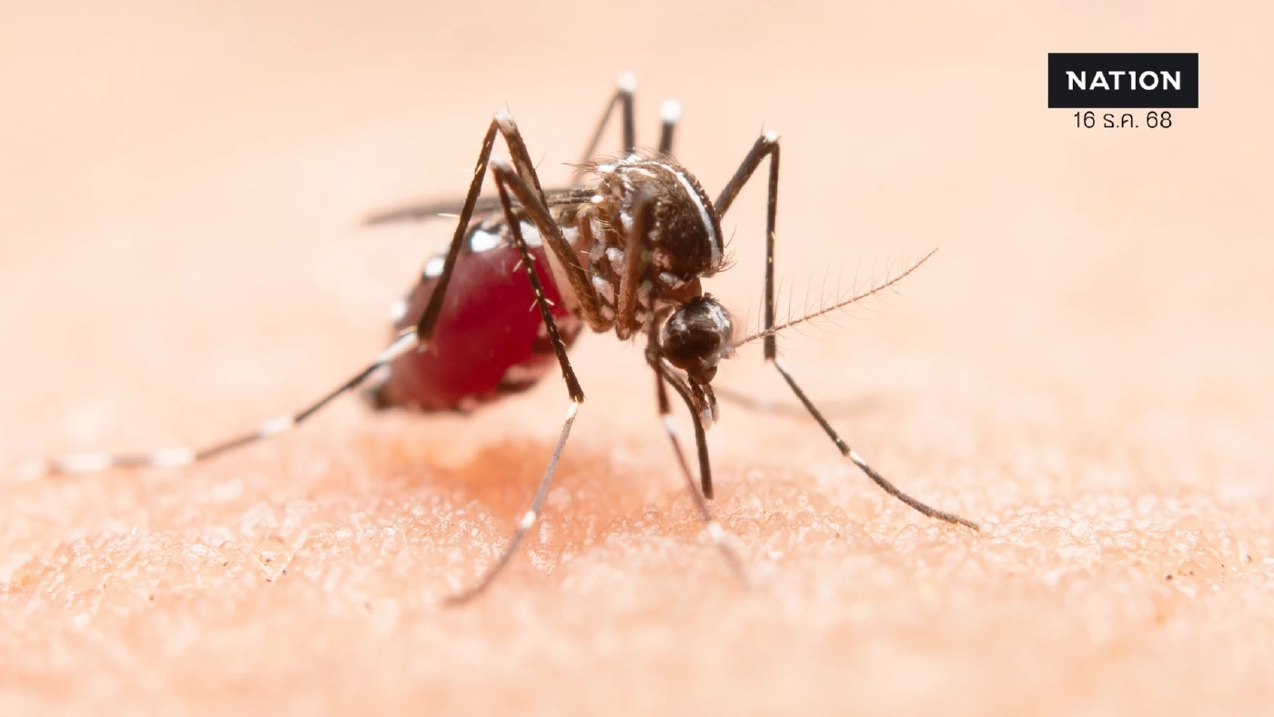 "ไข้เลือดออก" ใกล้ตัวเด็กมากกว่าที่คิด ผู้ปกครองต้องรู้ทันก่อนสายเกินไป