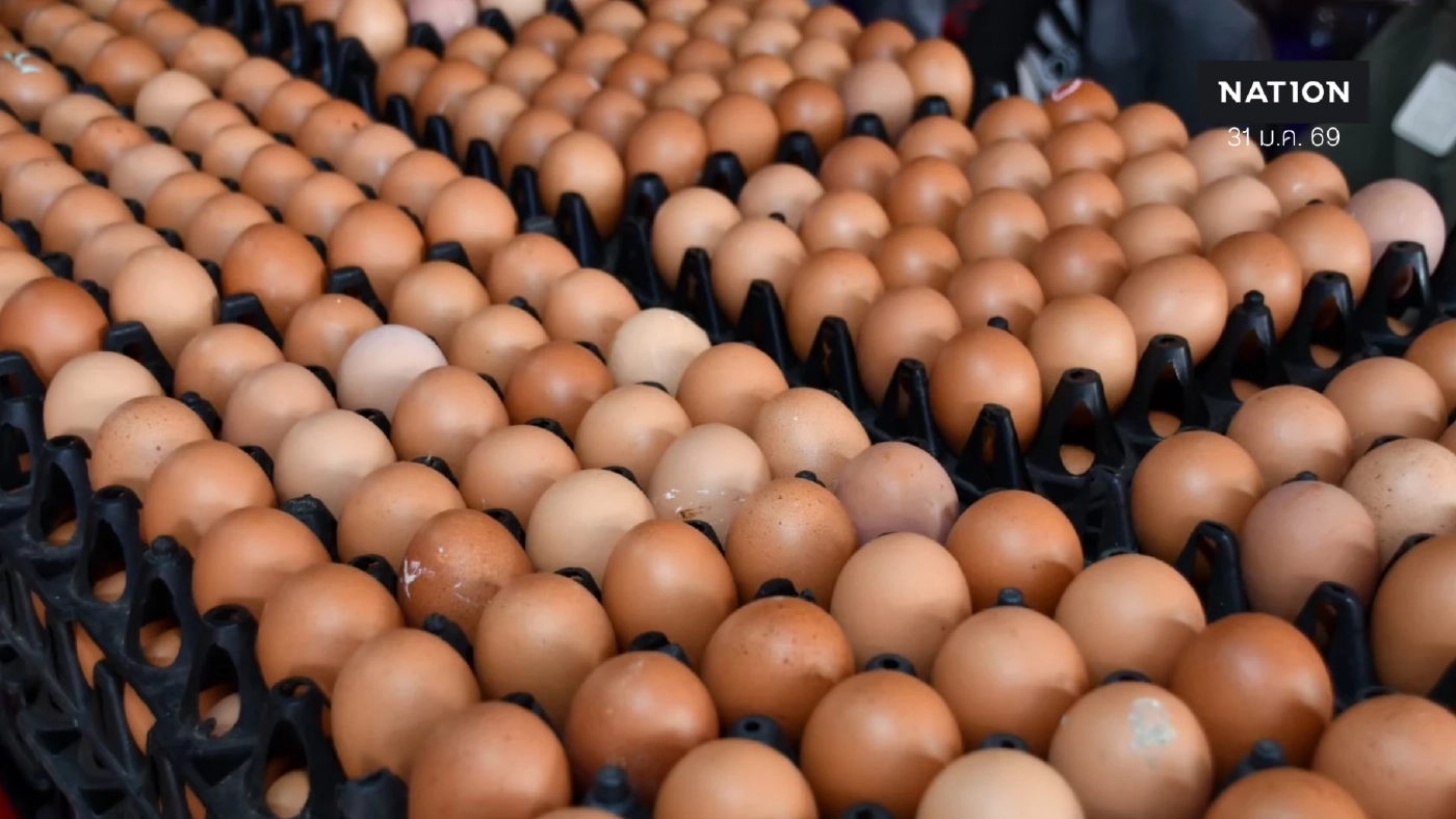 ไข่ไก่ราคาร่วงต่ำกว่าทุน เหตุฟาร์มใหญ่จับมือยี่ปั๊วเทขาย