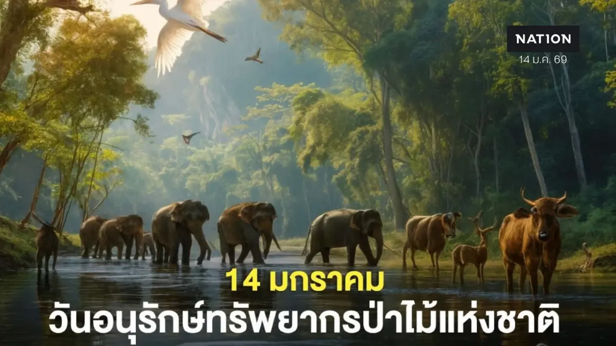14 มกราคม – วันอนุรักษ์ทรัพยากรป่าไม้แห่งชาติ 14 มกราคม – วันอนุรักษ์ทรัพยากรป่าไม้แห่งชาติ