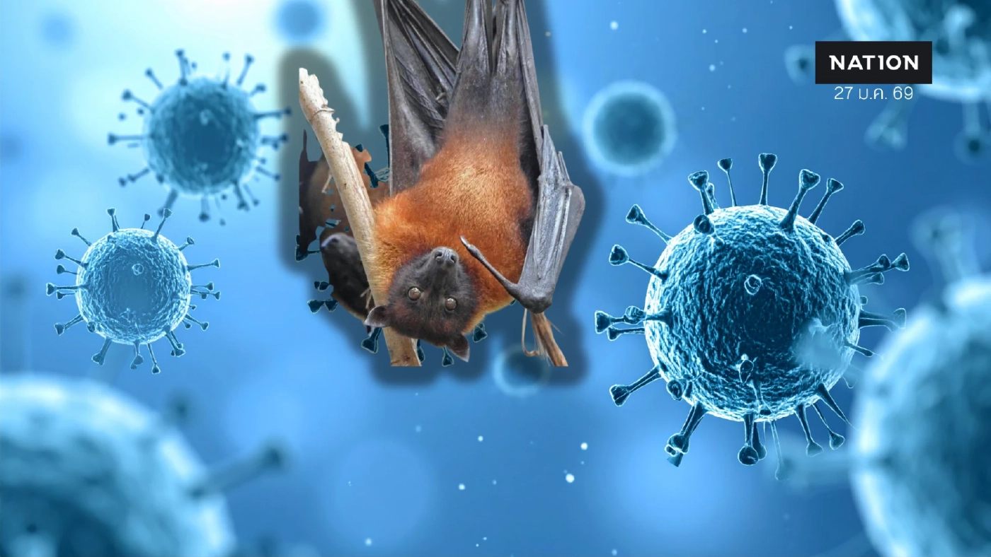 สธ.ยัน “นิปาห์” ติดยากกว่าโควิด นายกฯ สั่งคุมเข้ม ยังไม่เจอในไทย