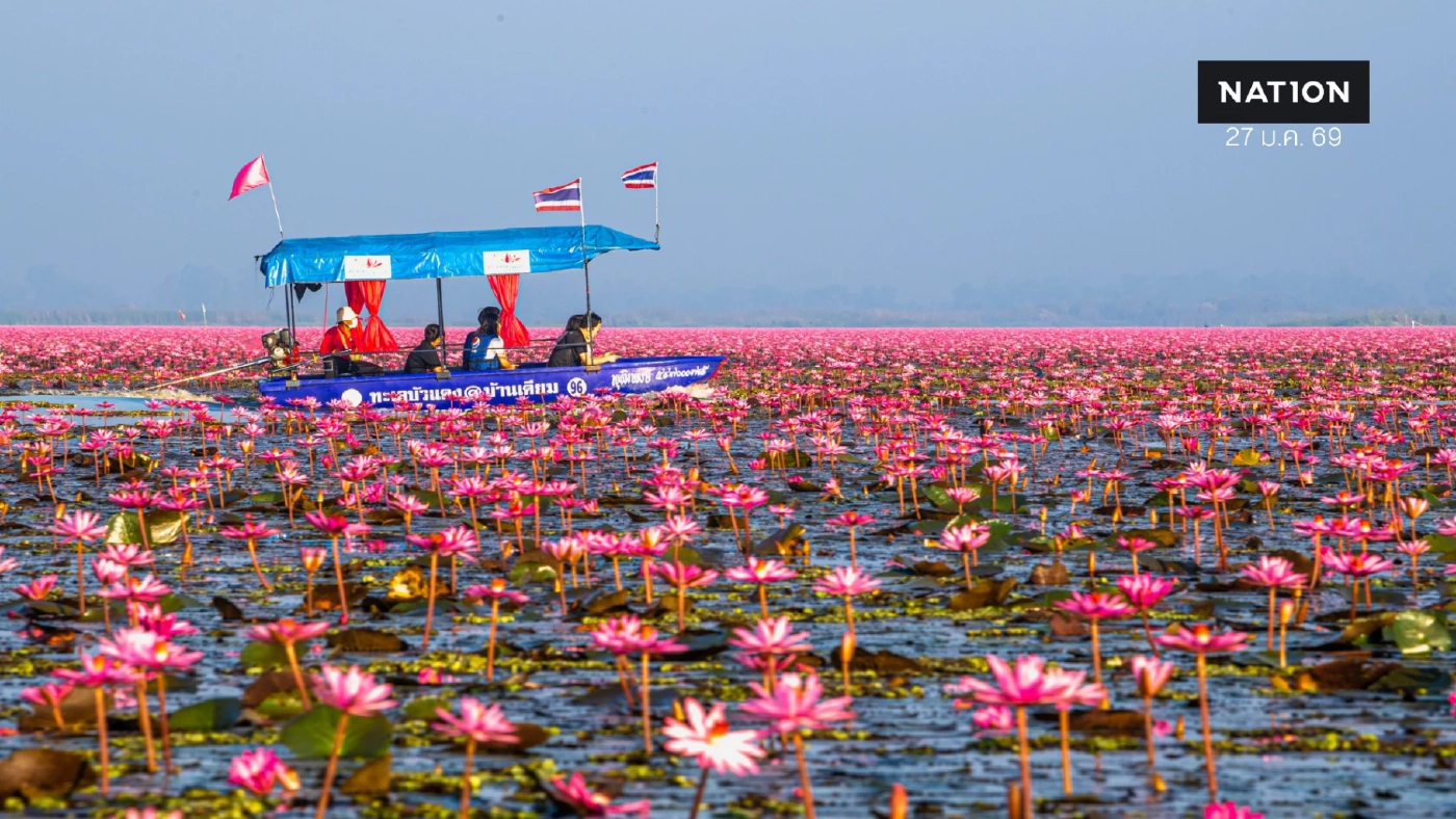 ปรากฏการณ์ LISA Effect ปลุกท่องเที่ยวอุดรฯ ทะเลบัวแดงคึกคัก