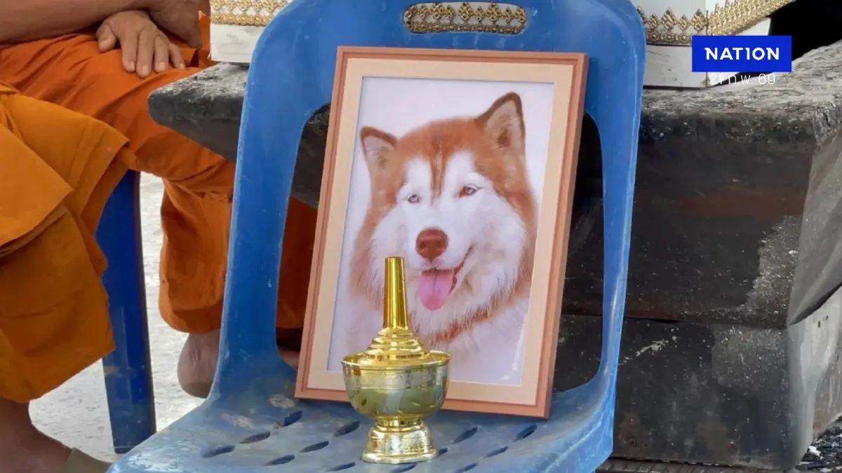 รวบแล้วคนทำร้าย “มอลลี่” จนเสียชีวิต ชาวเน็ตขอให้เอาผิดสูงสุด