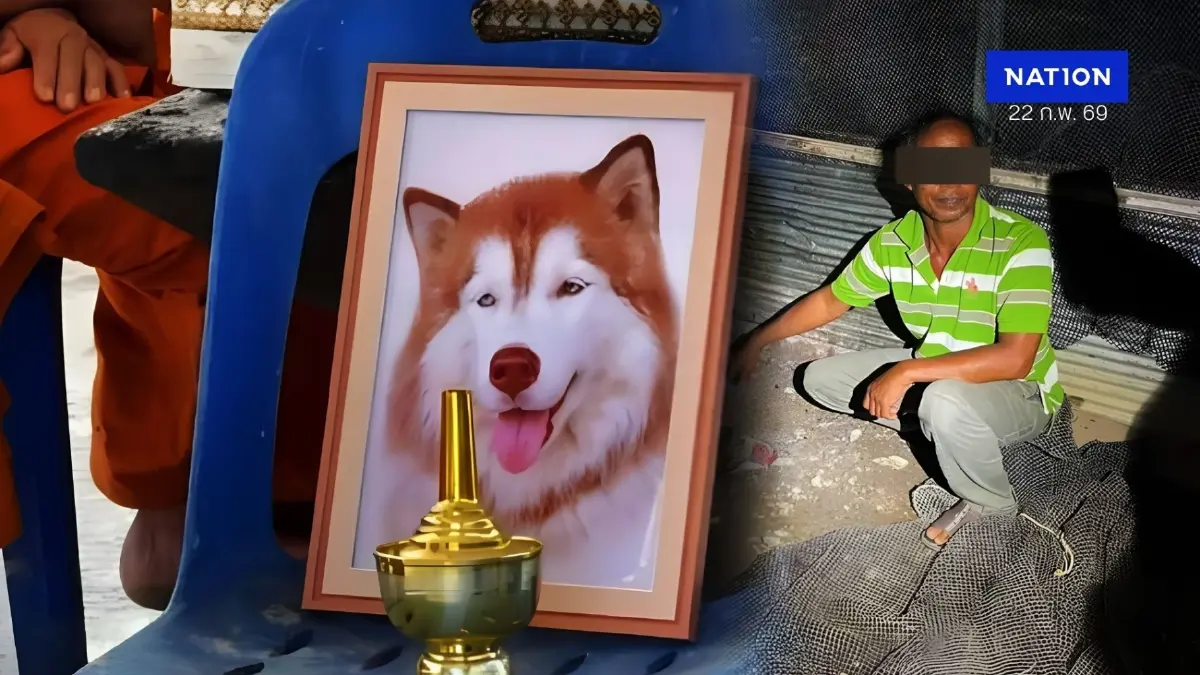 เปิดโฉม! ชายวัย 56 ปี สารภาพสิ้น ลงมือราดน้ำมันทำร้าย "มอลลี่" ไซบีเรียนทั้งเป็น