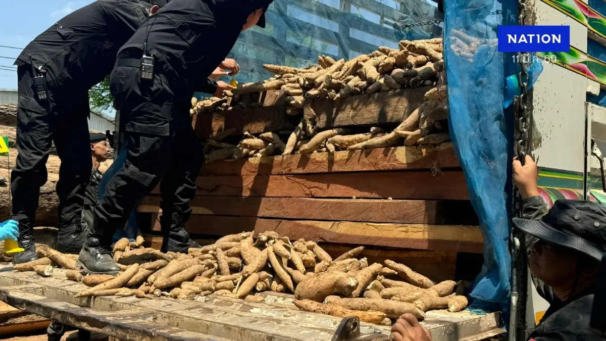 ทลายโกดัง ขบวนการ "ค้าไม้ข้ามชาติ" ส่งขายให้คนจีน มูลค่านับพันล้าน