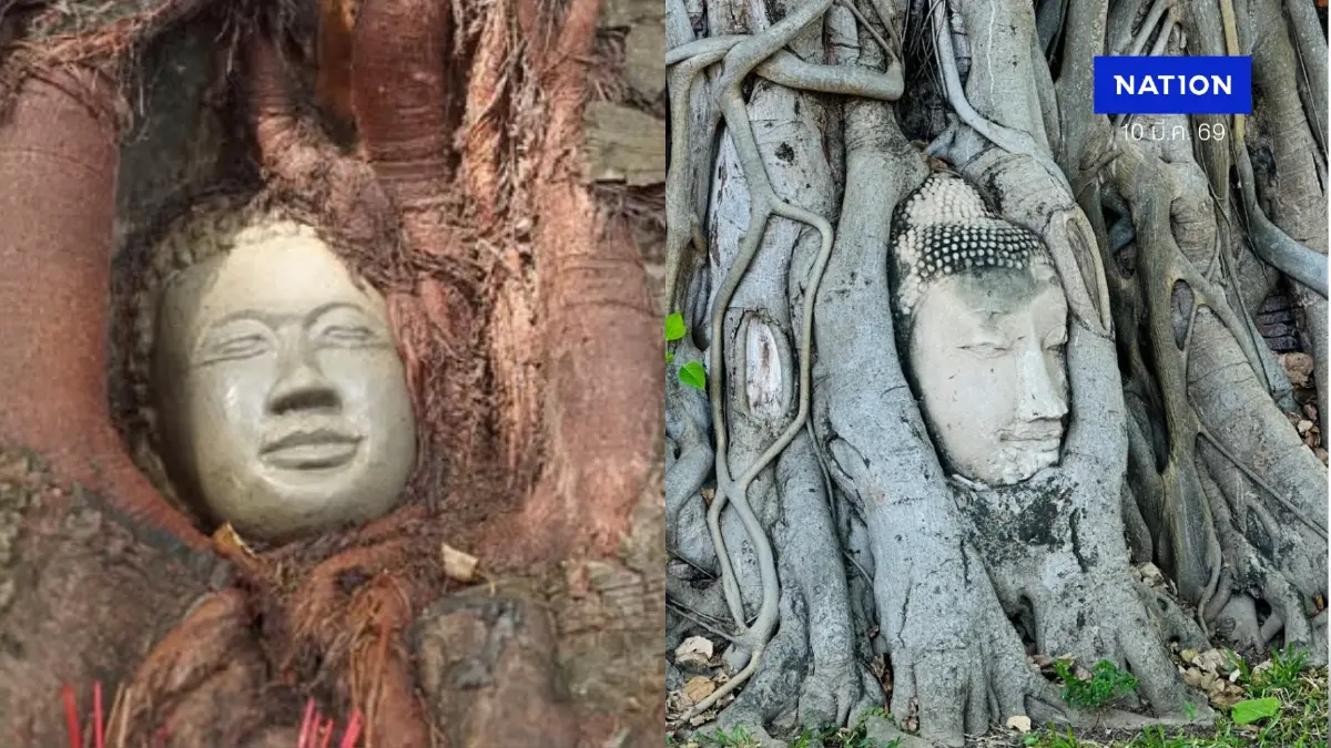 โซเชียลเดือด! วัดกัมพูชาสร้าง ‘เศียรพระในต้นโพธิ์’ เลียนแบบวัดมหาธาตุอยุธยา