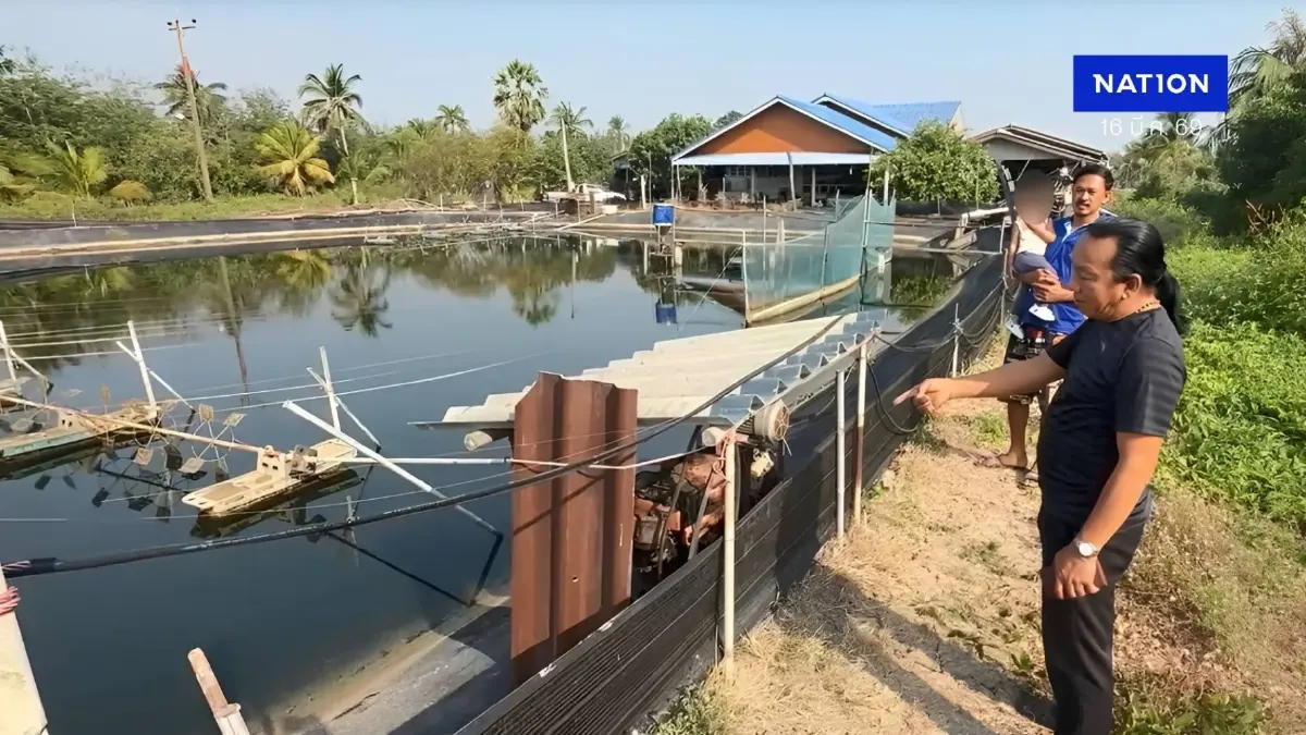 คนเลี้ยงกุ้งฉะเชิงเทราโอด! "ดีเซล-แก๊สโซฮอล์ " ขาดตลาด เสียหายยกบ่อ (มีคลิป) คนเลี้ยงกุ้งฉะเชิงเทราโอด! "ดีเซล-แก๊สโซฮอล์ " ขาดตลาด เสียหายยกบ่อ (มีคลิป)