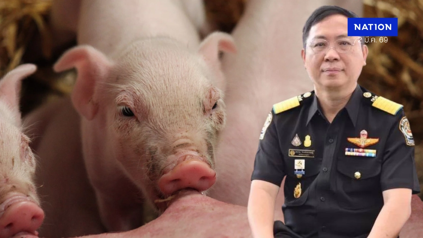 โอกาสทองหมูไทย ปศุสัตว์เร่งเครื่องเจรจา 'สิงคโปร์' เปิดตลาดนำเข้าหมู