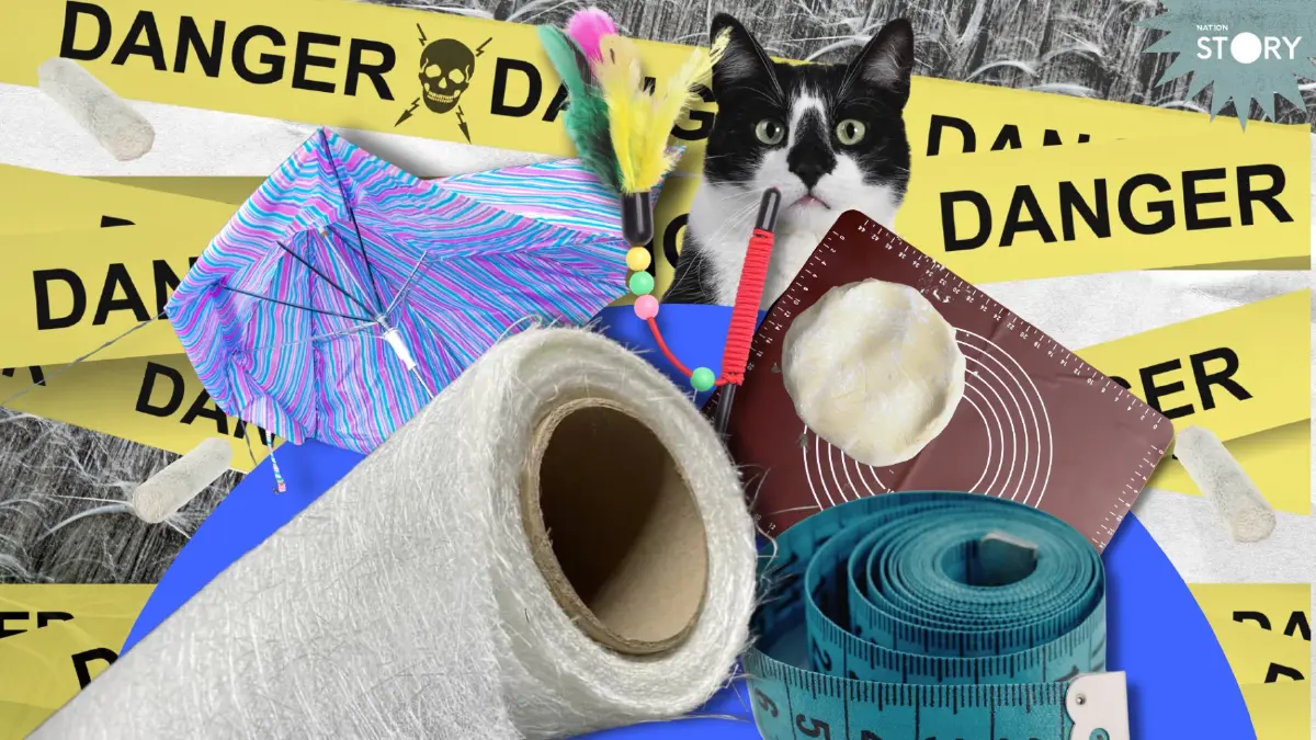 OPINION: ฝืนใช้อันตราย! เช็กลิสต์ของใช้จาก “ใยแก้ว” พังแล้วต้องทิ้ง?