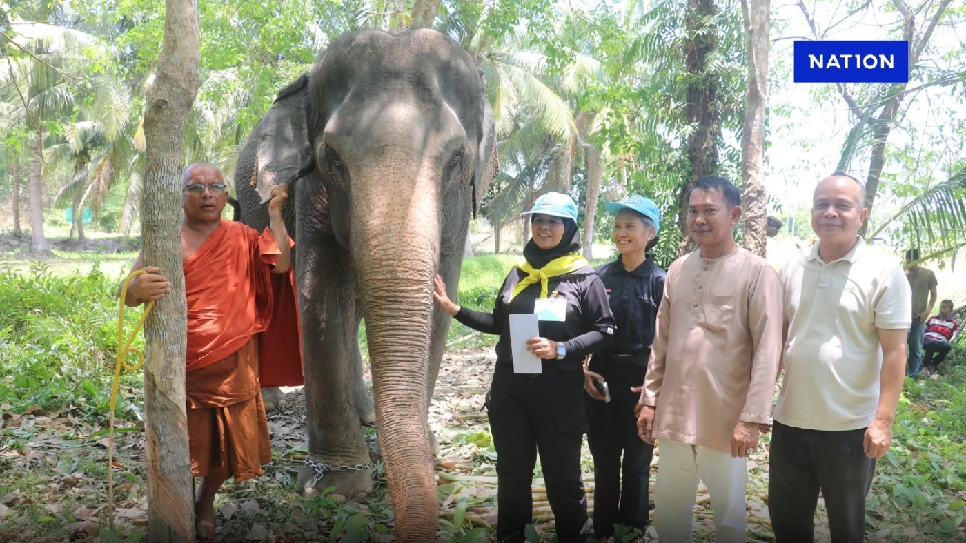 ผู้ว่าฯ ปัตตานี เข้าเยี่ยม “ท่านเวาะห์” พระเลี้ยงช้าง สัญลักษณ์สันติสุข