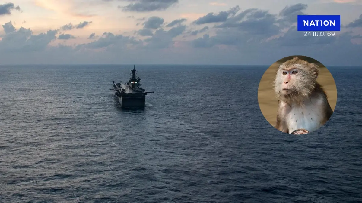 พ่ายลิงภูเก็ต! ทหารเรือสหรัฐฯ ชุดกวาดทุ่นระเบิด "ฮอร์มุซ" ถูกลิงแสมข่วนเจ็บ บินด่วนส่งกลับฐานทัพญี่ปุ่น
