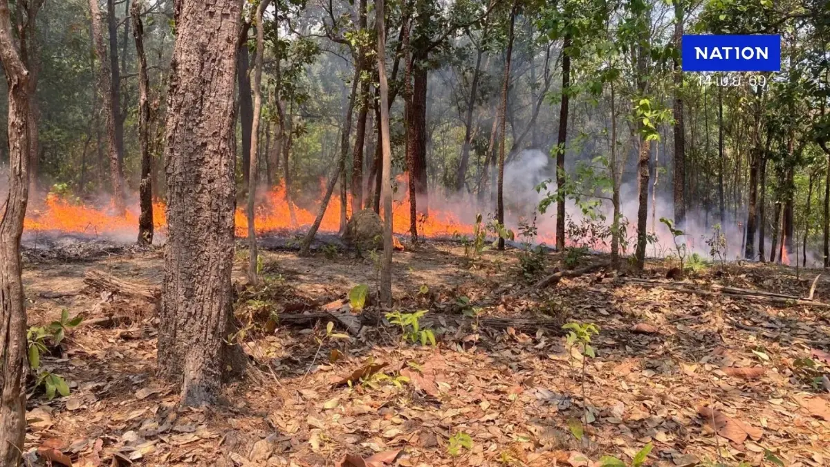 สั่งลุยแก้ไฟป่า! "รัฐบาล" ยกระดับเชิงรุก ตั้ง War Room เข้มข้นทุกพื้นที่ สั่งลุยแก้ไฟป่า! "รัฐบาล" ยกระดับเชิงรุก ตั้ง War Room เข้มข้นทุกพื้นที่