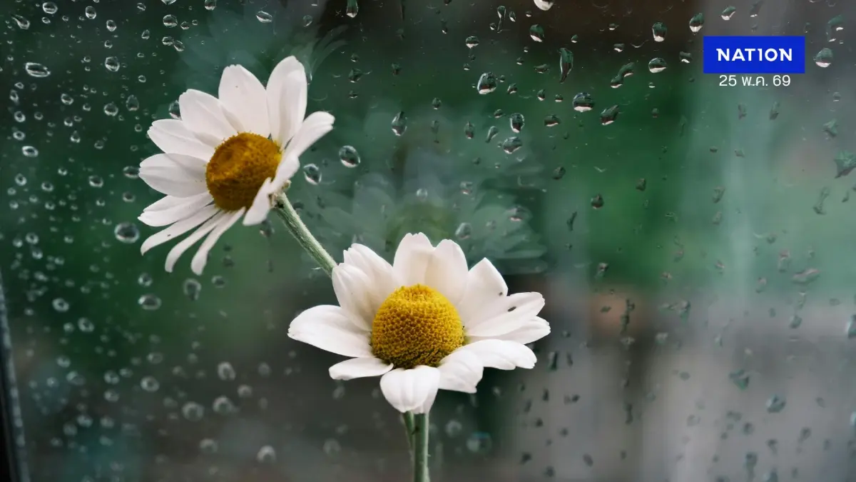 เช็กสภาพอากาศ พรุ่งนี้! กรุงเทพฯ เตรียมรับมือฝนตกช่วงบ่ายถึงค่ำ