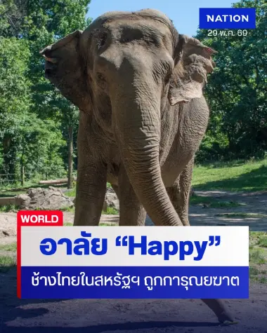 Happy "ช้างไทย" ที่เคยเป็นข่าวฟ้องร้องถูก "การุณยฆาต"