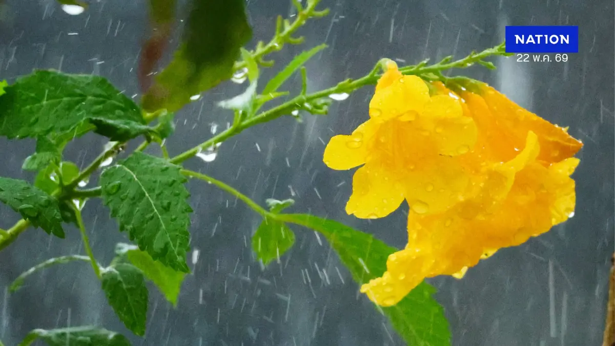 พยากรณ์อากาศพรุ่งนี้! มรสุมถล่มไทย ฝนตกหนักถึงหนักมาก เช็กพื้นที่เสี่ยง!