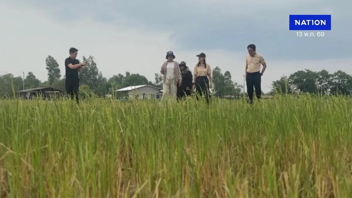 “ธนาคารที่ดิน” ลุยอุบลฯ เช็กความสำเร็จ “จิกเทิงโมเดล” ต้นแบบบริหารที่ดินยั่งยืน สร้างรายได้จริงให้เกษตรกร