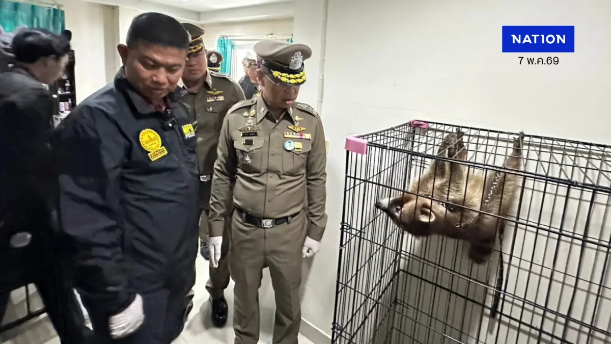 รวบผัวเมียแสบ! ขโมย "น้องมาร์ช-กิ้งก่าพาต้า" แลกยานรก