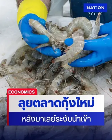 พาณิชย์-เกษตรฯ เร่งช่วยกุ้งไทย 400 ตัน/เดือน หลังมาเลย์ระงับนำเข้า