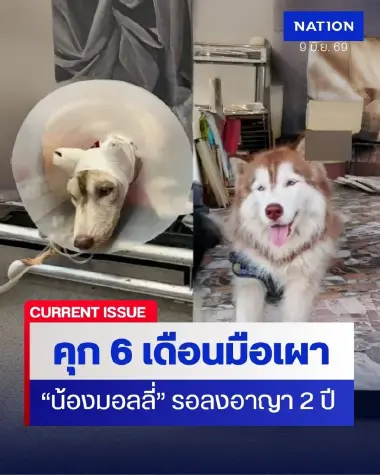 คุก 6 เดือน มือเผา “น้องมอลลี่” สุนัขไซบีเรียน ฮัสกี้ รออาญา 2 ปี