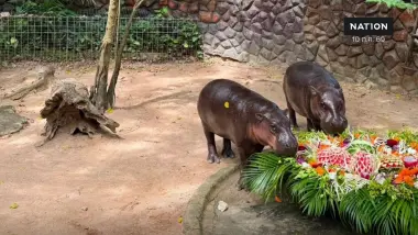 เบิร์ดเดย์ หมูเด้ง 2 ขวบ คึกคัก! เปิดแผน Hippo Village 75 ล้าน