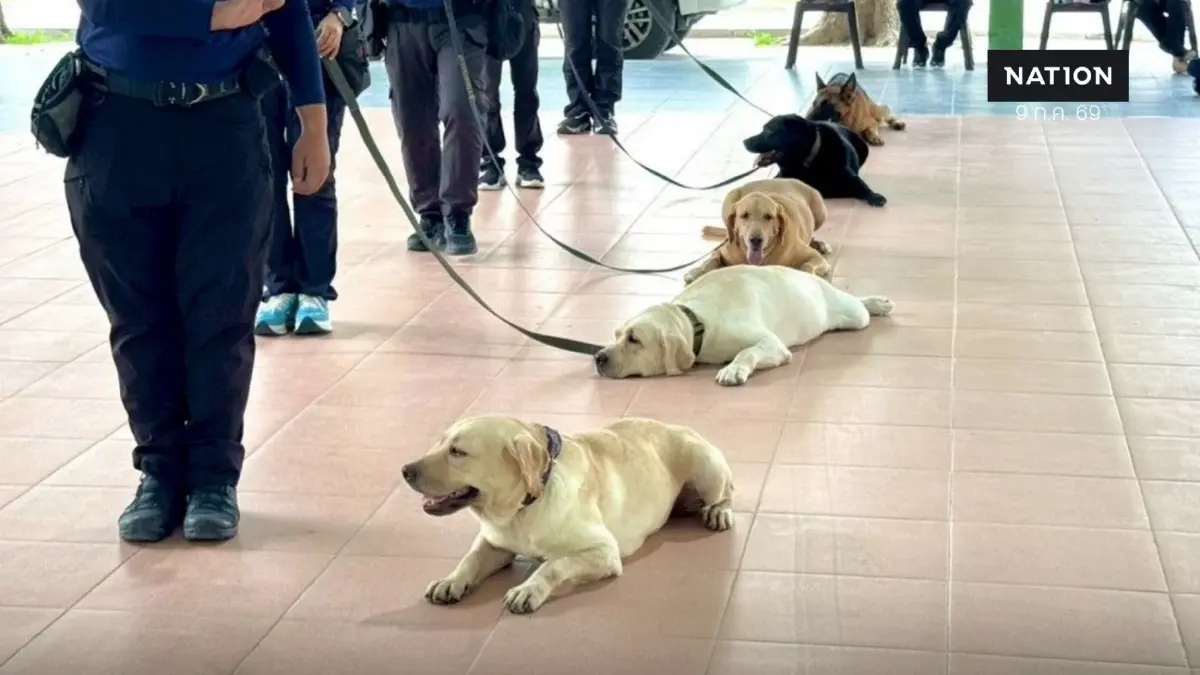 ตชด.นำทีม K9 ทำกิจกรรมสุนัขบำบัด มอบความสุขเด็ก รร.เพชรบุรีปัญญานุกูล ตชด.นำทีม K9 ทำกิจกรรมสุนัขบำบัด มอบความสุขเด็ก รร.เพชรบุรีปัญญานุกูล