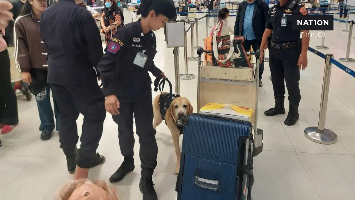 ตรวจเข้ม! 191 ใช้ "สุนัข K9" เฝ้า "สนามบินสุวรรณภูมิ" 24 ชม. สกัดเครือข่ายยาเสพติดข้ามชาติ (มีคลิป) ตรวจเข้ม! 191 ใช้ "สุนัข K9" เฝ้า "สนามบินสุวรรณภูมิ" 24 ชม. สกัดเครือข่ายยาเสพติดข้ามชาติ (มีคลิป)