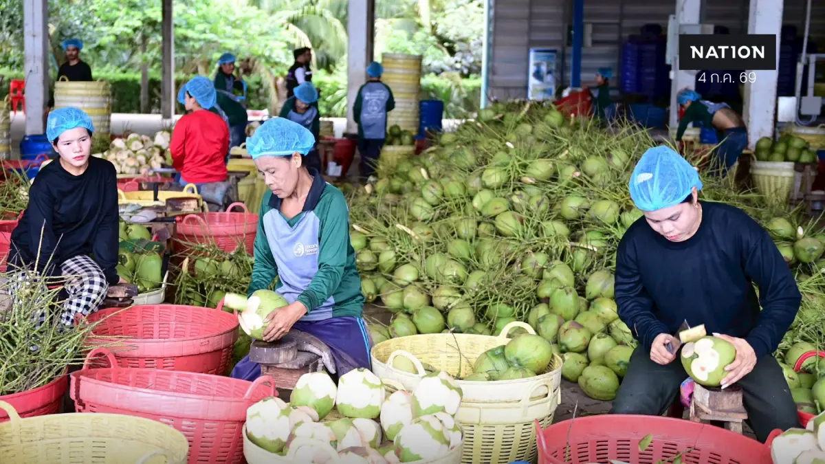 พาณิชย์ลงพื้นที่ราชบุรี ติดตามความคืบหน้า 'ล้งชุมชนมะพร้าวน้ำหอม' ต้นแบบ