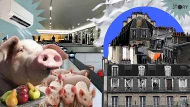STORY : โถ...ชาวฝรั่งเศส เมื่อชีวิต "หมูจีน" ยังหรูกว่าคนปารีส!