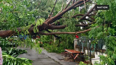 "ชญาดา" ส.ก.คันนายาว รุดลงพื้นที่! "พายุฝนถล่ม ต้นไม้ใหญ่ล้มทับบ้าน 2 หลัง