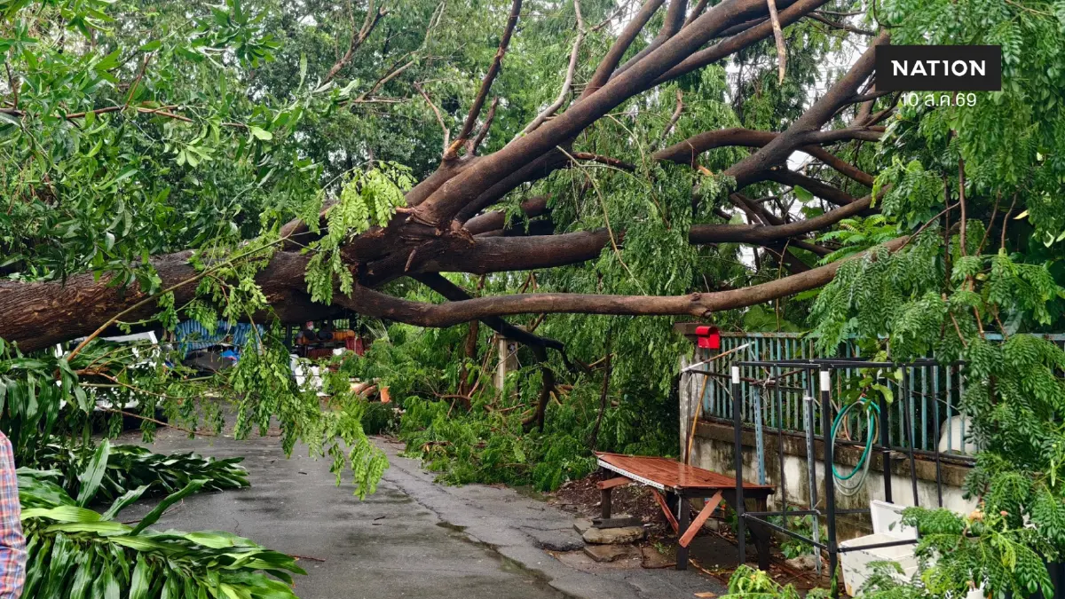 "ชญาดา" ส.ก.คันนายาว รุดลงพื้นที่! "พายุฝนถล่ม ต้นไม้ใหญ่ล้มทับบ้าน 2 หลัง "ชญาดา" ส.ก.คันนายาว รุดลงพื้นที่! "พายุฝนถล่ม ต้นไม้ใหญ่ล้มทับบ้าน 2 หลัง