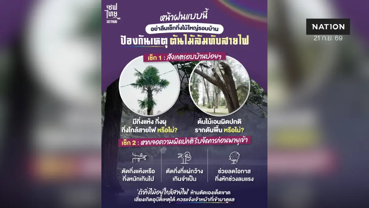 หน้าฝนนี้ เช็กกิ่งไม้รอบบ้าน ลดความเสี่ยงต้นไม้ล้มทับสายไฟ หน้าฝนนี้ เช็กกิ่งไม้รอบบ้าน ลดความเสี่ยงต้นไม้ล้มทับสายไฟ
