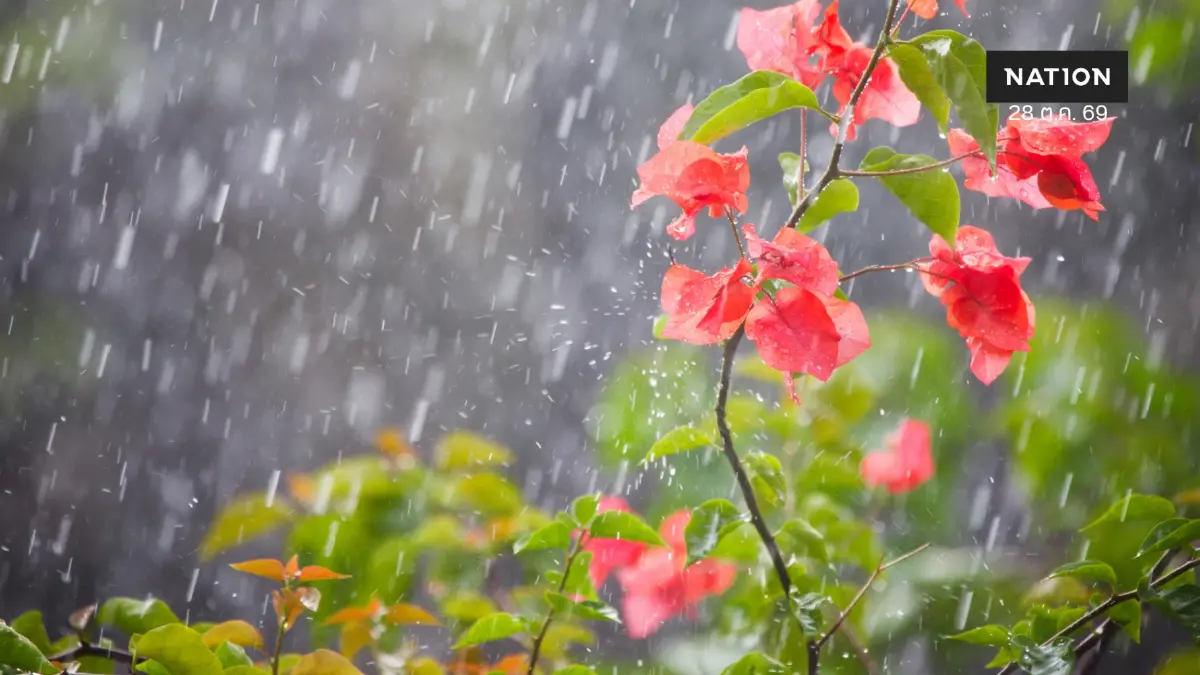 พยากรณ์อากาศวันนี้ อุตุฯ เตือน 17 จังหวัด ระวังฝนตกหนัก พยากรณ์อากาศวันนี้ อุตุฯ เตือน 17 จังหวัด ระวังฝนตกหนัก