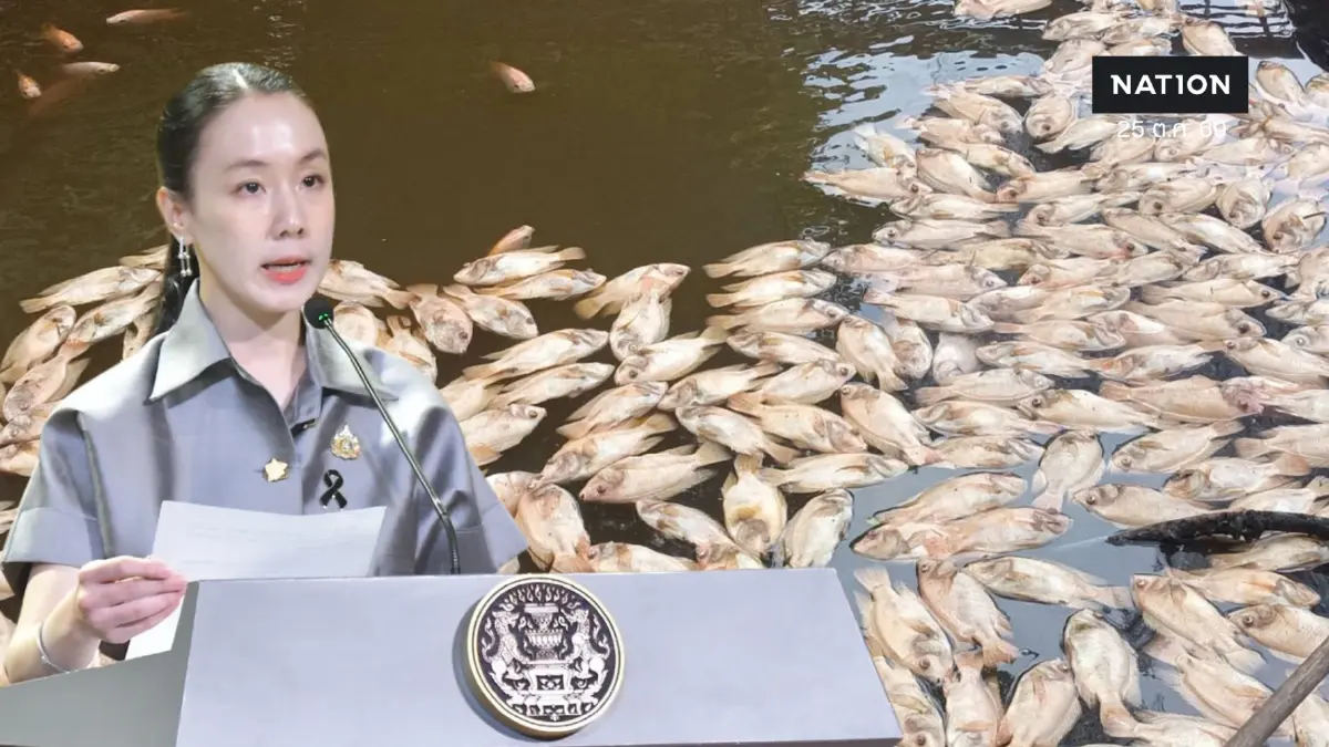 ยันผลตรวจปลาไม่พบสารพิษ! รัฐบาลสั่งเข้มตรวจคุณภาพน้ำปราจีนฯ แจงตัวเลข "แอมโมเนีย-อะลูมิเนียม" คลาดเคลื่อน