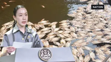 ยันผลตรวจปลาไม่พบสารพิษ! รัฐบาลสั่งเข้มตรวจคุณภาพน้ำปราจีนฯ แจงตัวเลข "แอมโมเนีย-อะลูมิเนียม" คลาดเคลื่อน