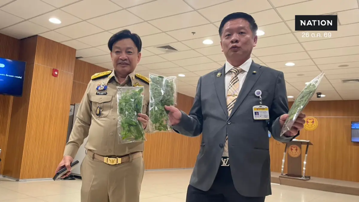 "สว." ออกโรงป้อง "กะเพราไทย" กังวลผูกขาด-จี้รัฐแจงสิทธิปลูกให้ชัด ยัน "กะเพรา" เป็นพืชสมบัติชาติ