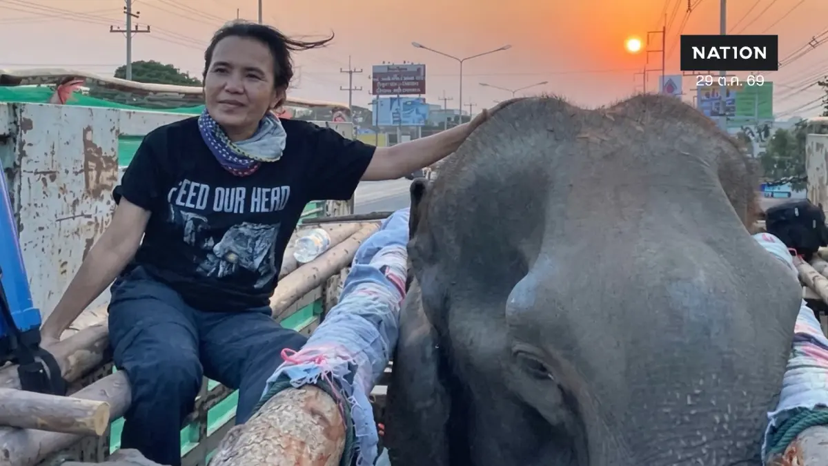 ขอโทษแต่แผลยังอยู่! "แสงเดือน" รับคำขอโทษ "ดร.อานนท์" โต้ปมถูกกล่าวหา "ขายชาติ-จัดฉากทารุณลูกช้าง" กระทบความน่าเชื่อถือองค์กร